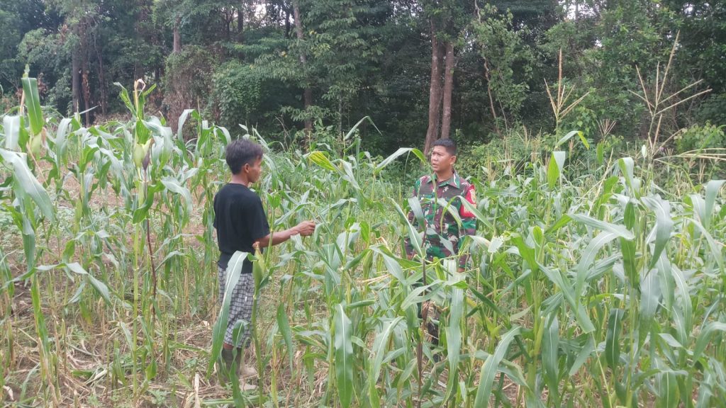 WhatsApp Image 2024-07-03 at 14.22.40 (1)