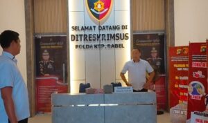 349bb582-07f3-4bcc-abd7-8161a7b214e6