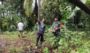 WhatsApp Image 2025-11-24 at 22.07.16