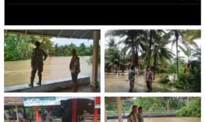 WhatsApp Image 2025-11-24 at 22.07.52