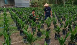 abd553a1-51ea-40a7-ad03-0f539772f684