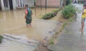 d6bc8330-fbbd-4a1b-9abe-92b5b2723a0c