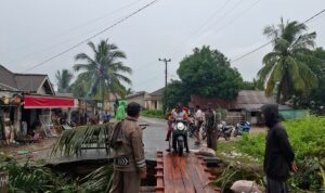 WhatsApp Image 2025-12-08 at 20.49.24