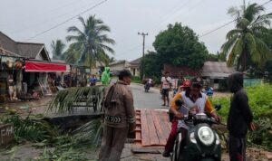 WhatsApp Image 2025-12-09 at 11.49.22 (2)