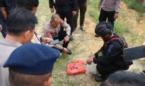 WhatsApp Image 2025-12-11 at 14.38.37